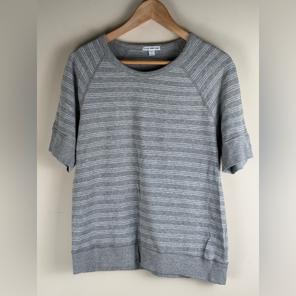 Standard James Perse Loopwheel Crewneck Stripe Top Gray and White Size 3/Large